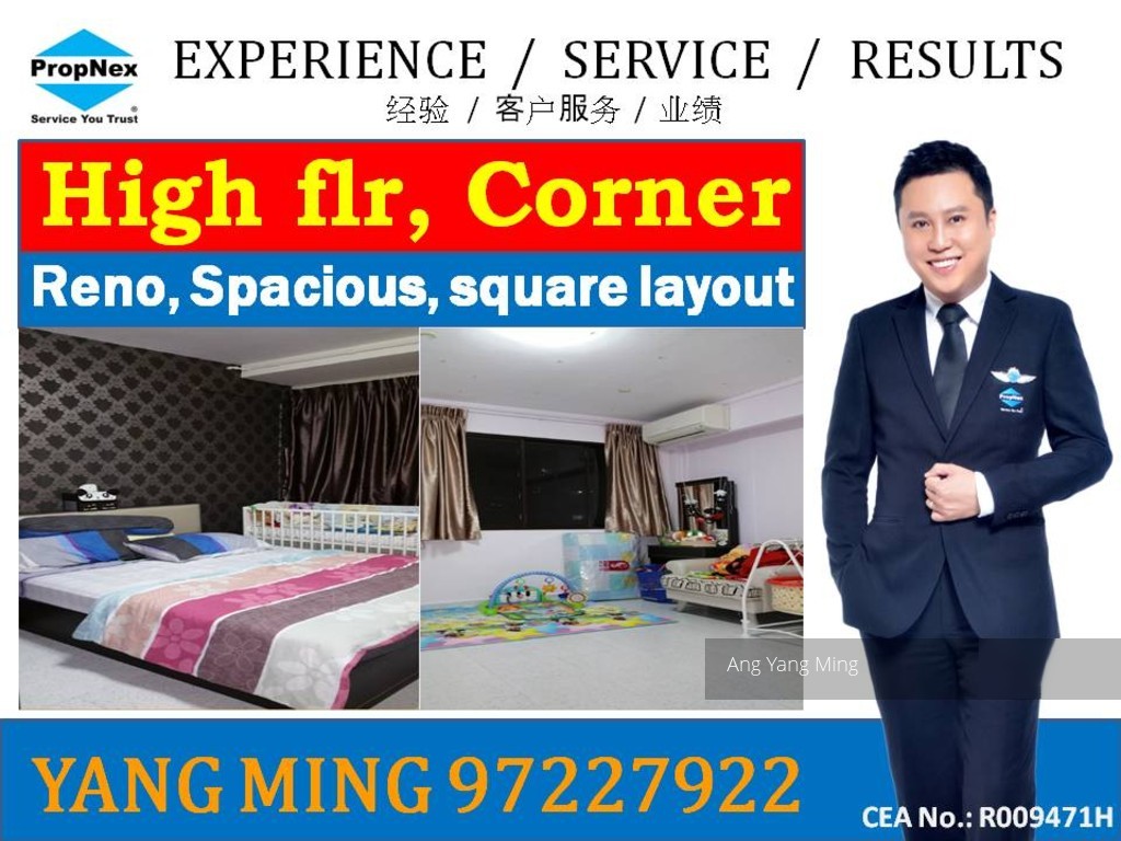 Blk 422 Choa Chu Kang Avenue 4 (Choa Chu Kang), HDB 4 Rooms #106976532